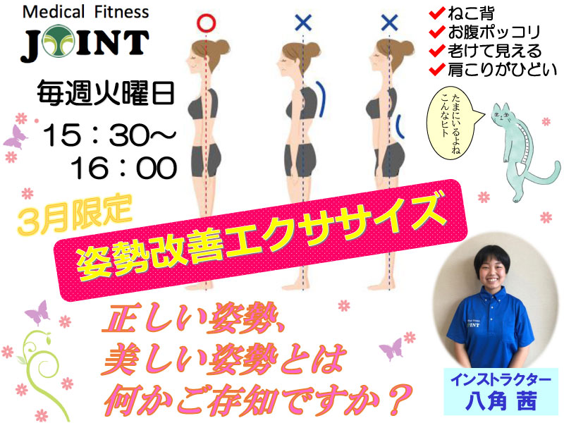 姿勢改善エクササイズ