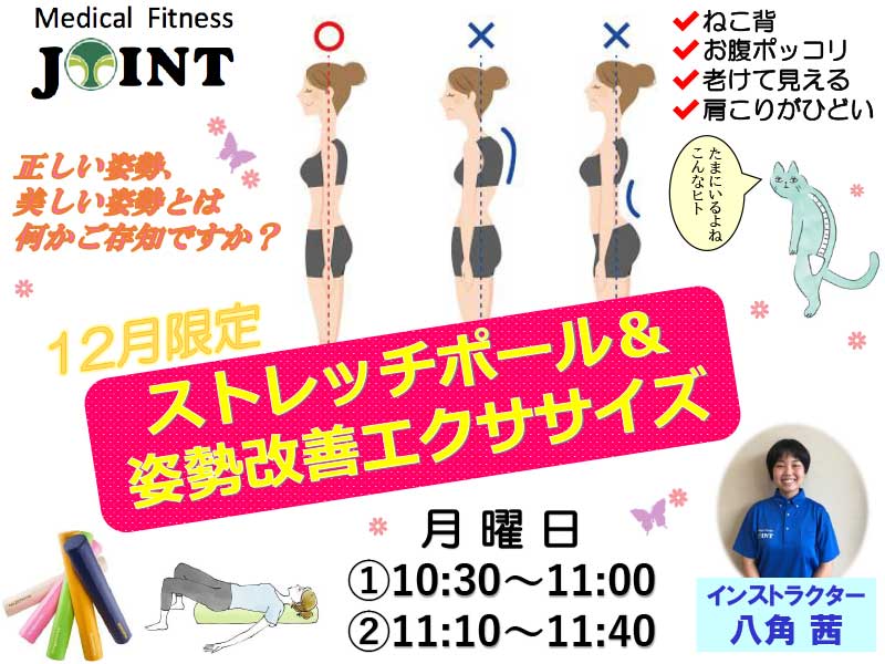 ストレッチポール&姿勢改善エクササイズ